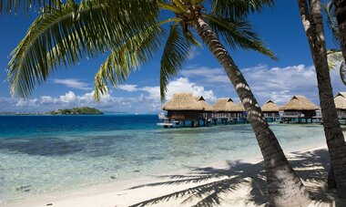 Bora Bora Tropical Romance Bora Bora Tropical Romance - BOB Maitai - Overwater